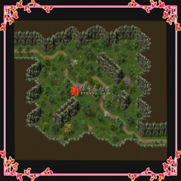 20241114-011-996传奇地图素材