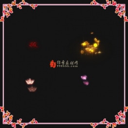 足迹特效20241106-001